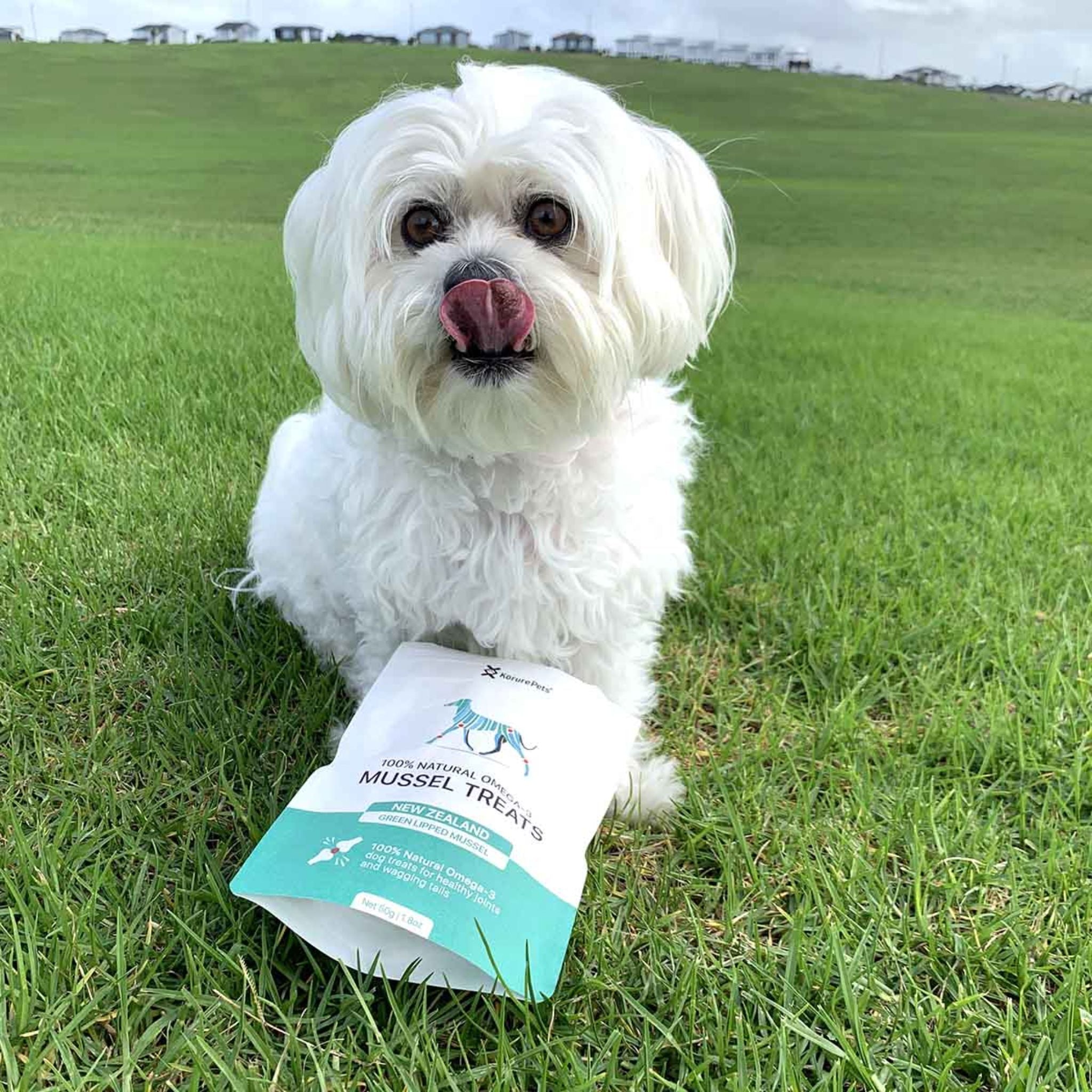 Korure Pets Omega -3 Mussel Topper for Dogs