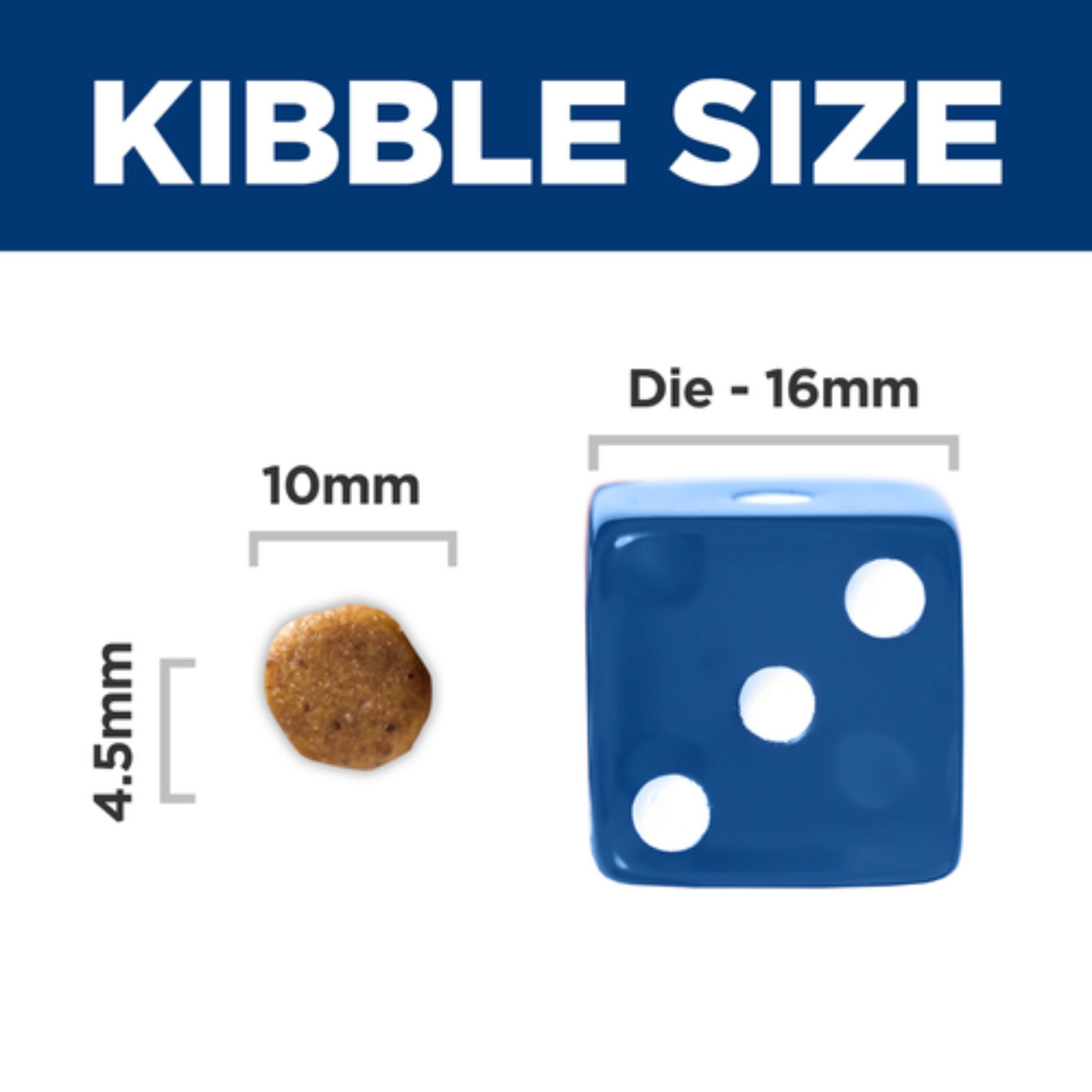 Hill's Science Diet Puppy Sensitive Stomach & Skin Salmon & Brown Rice Dry Dog Food