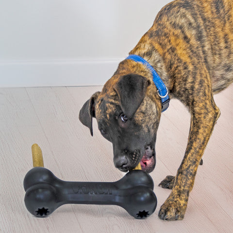 KONG Extreme Goodie Bone nosed by a brindle dog standing over it on a tiled indoor floor