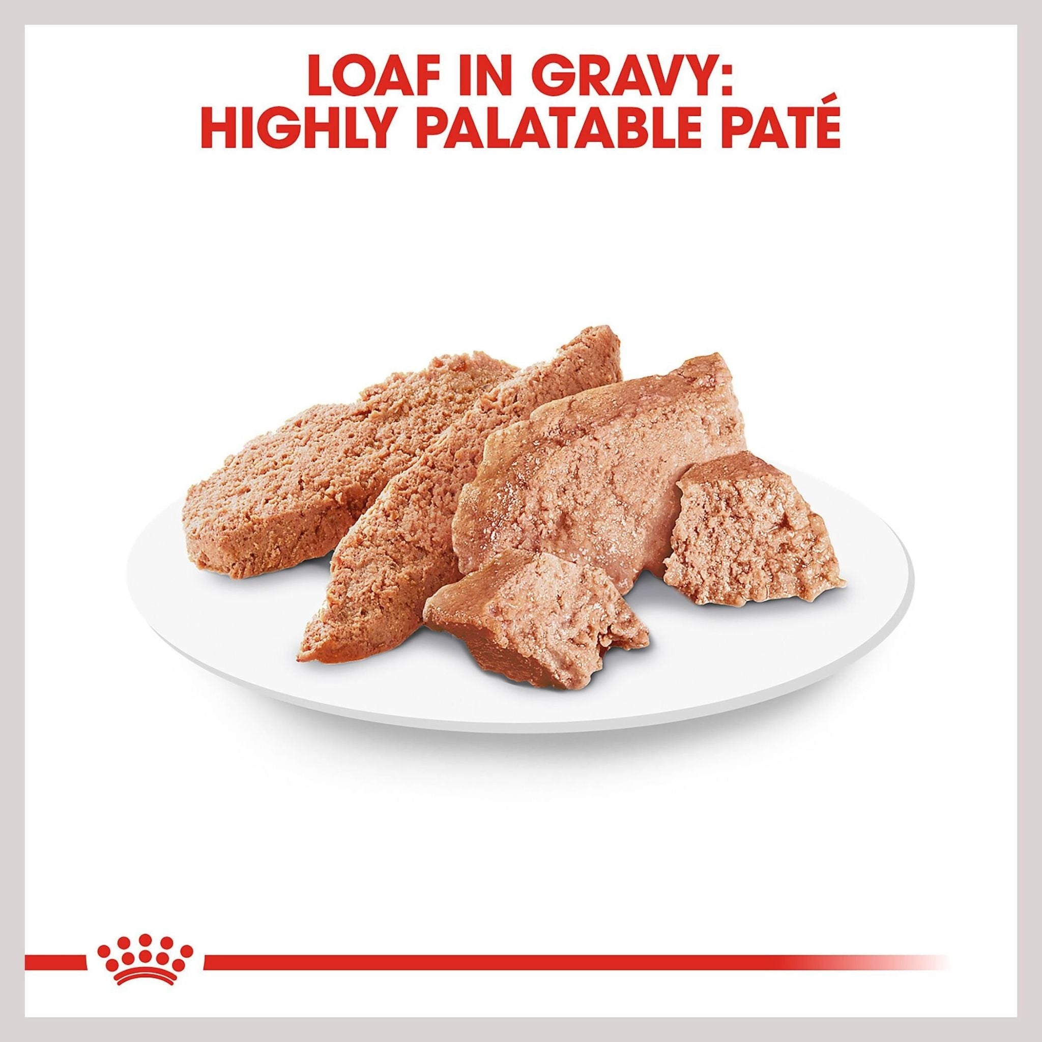 Royal Canin Dachshund Loaf Wet Dog Food