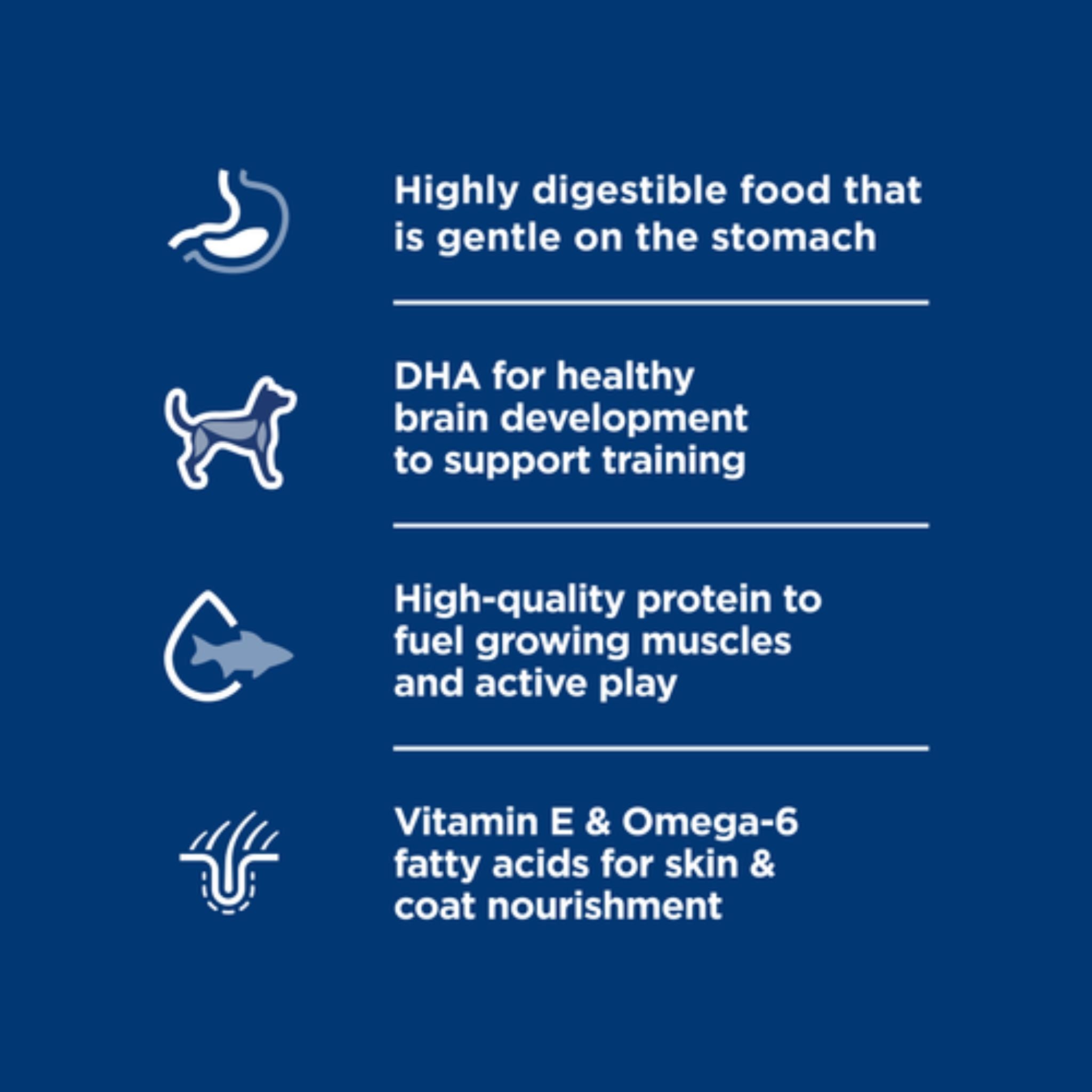 Hill's Science Diet Puppy Sensitive Stomach & Skin Salmon & Brown Rice Dry Dog Food