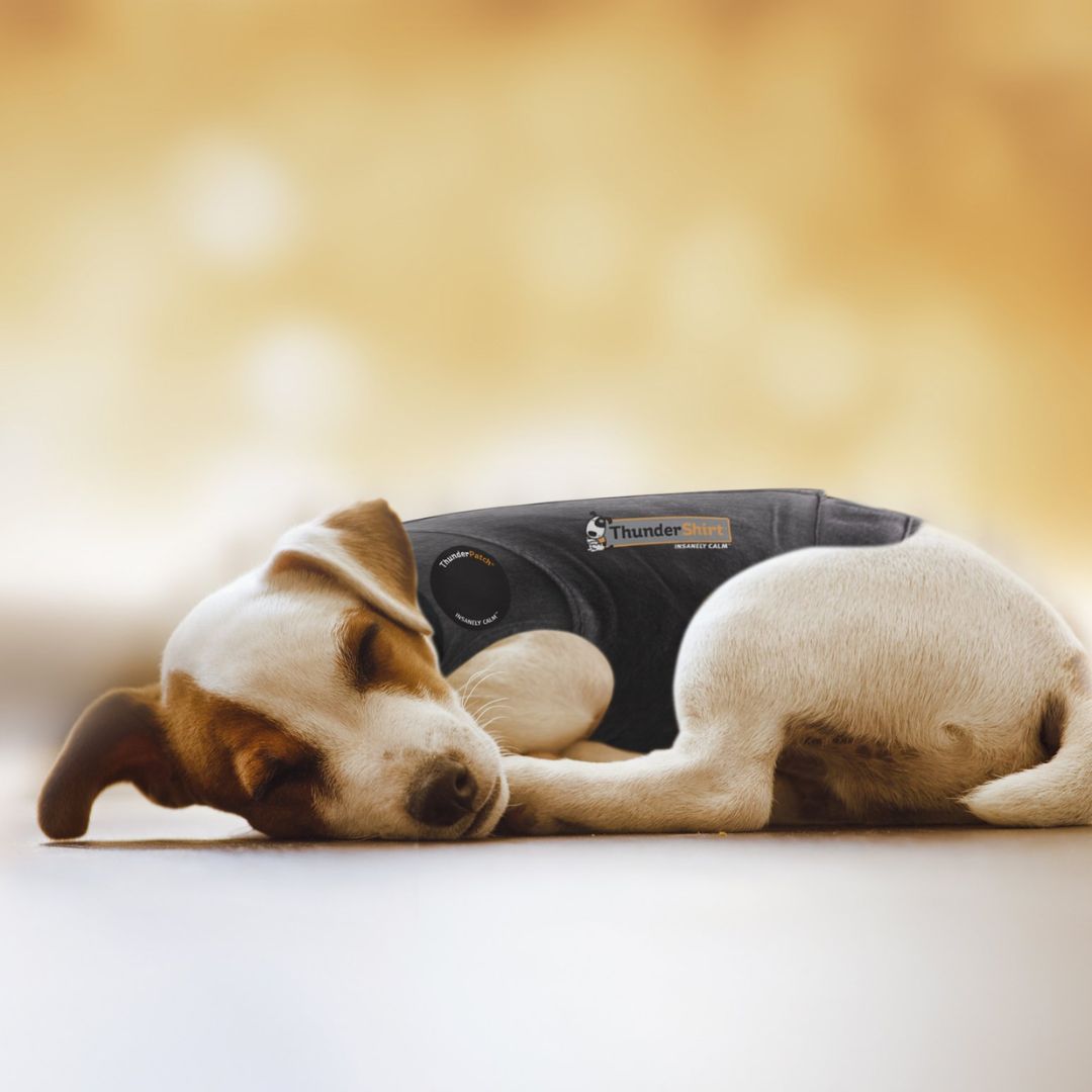 ThunderEssence Calming Essential Oil for Dogs | PeekAPaw Pet Supplies