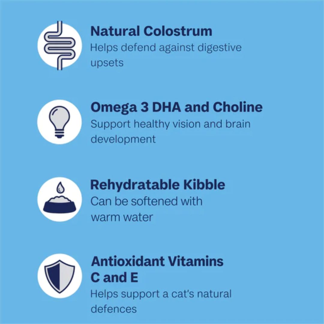 ADVANCE Kitten Dry Cat Food Chicken with Rice | PeekAPaw Pet Supplies