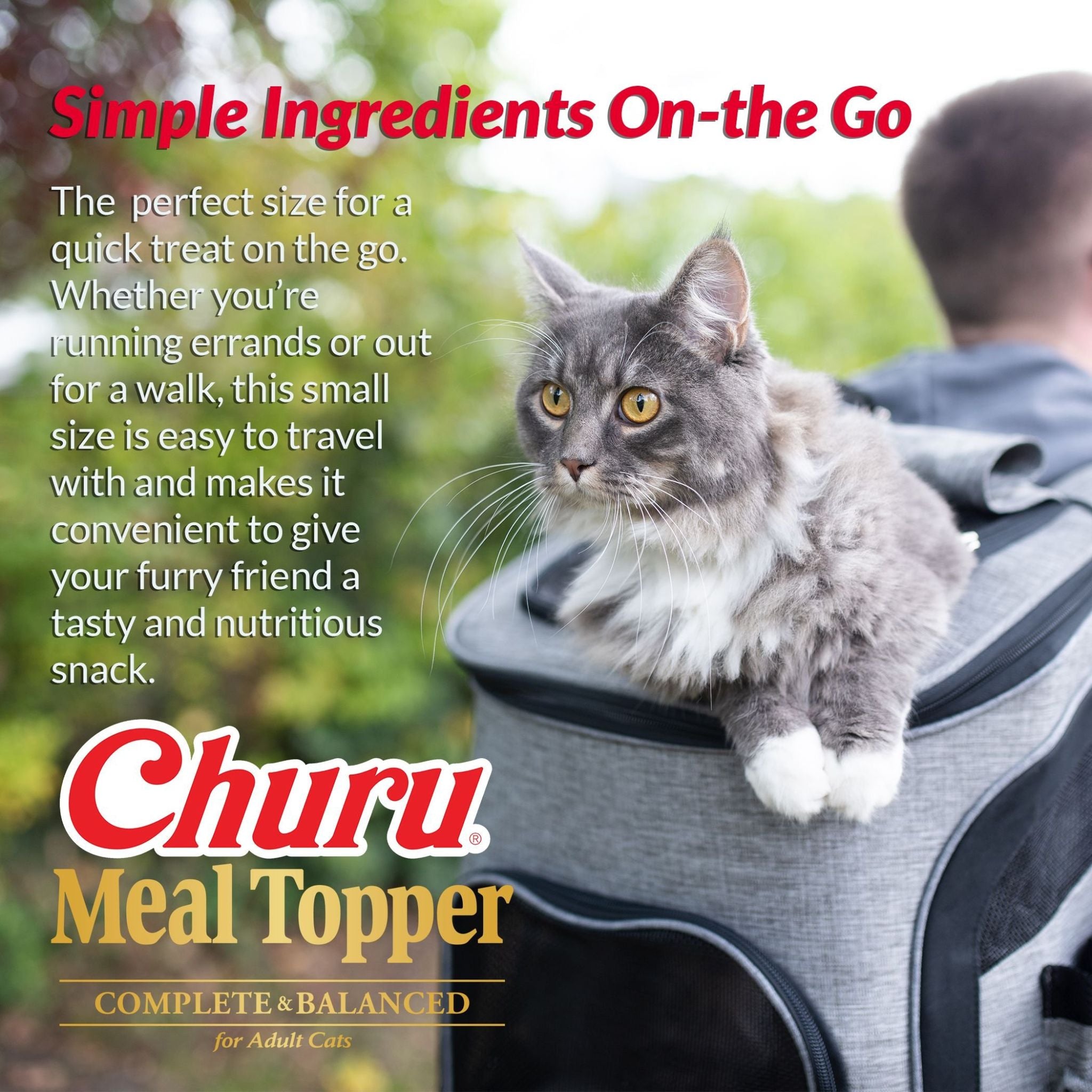 Inaba Cat Treat Churu Meal Topper Tuna Salmon