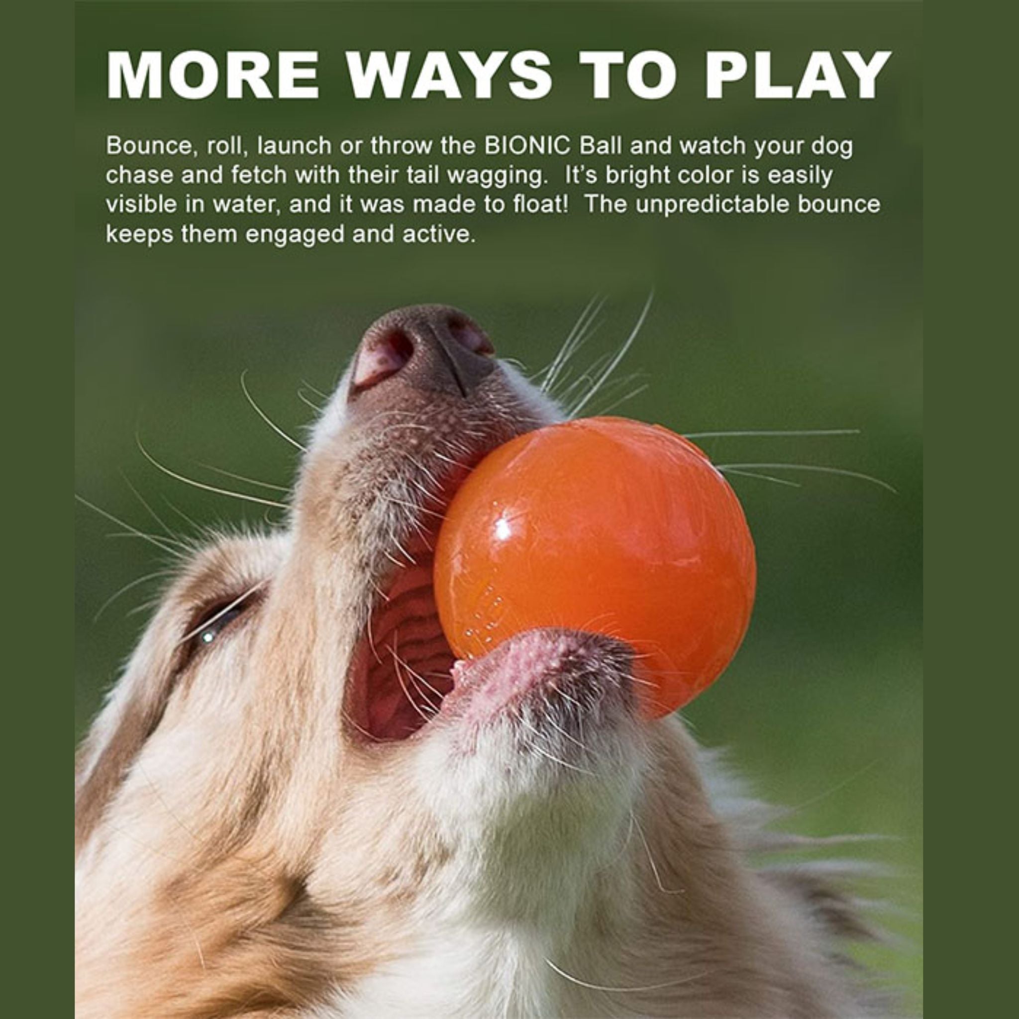Bionic Ball Dog Toys