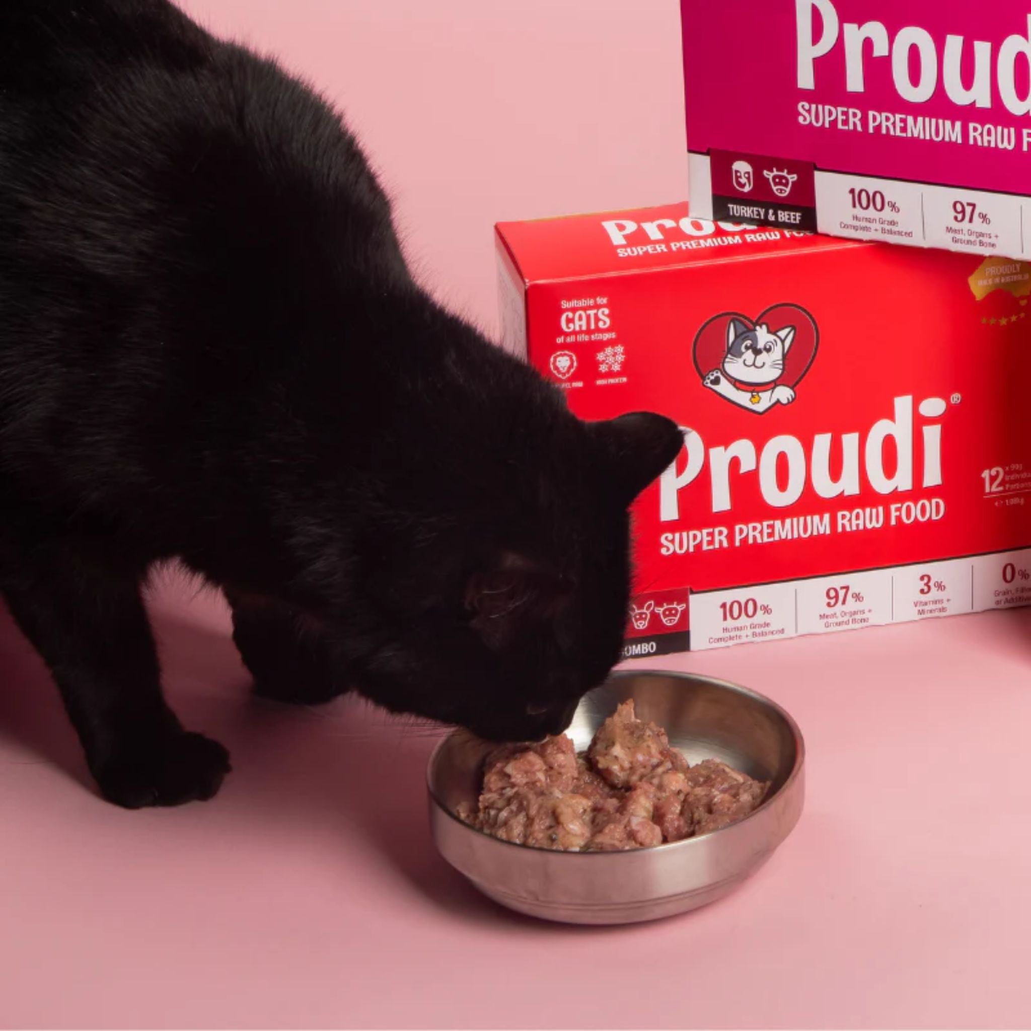 Proudi Red Combo Raw Patties for Cats