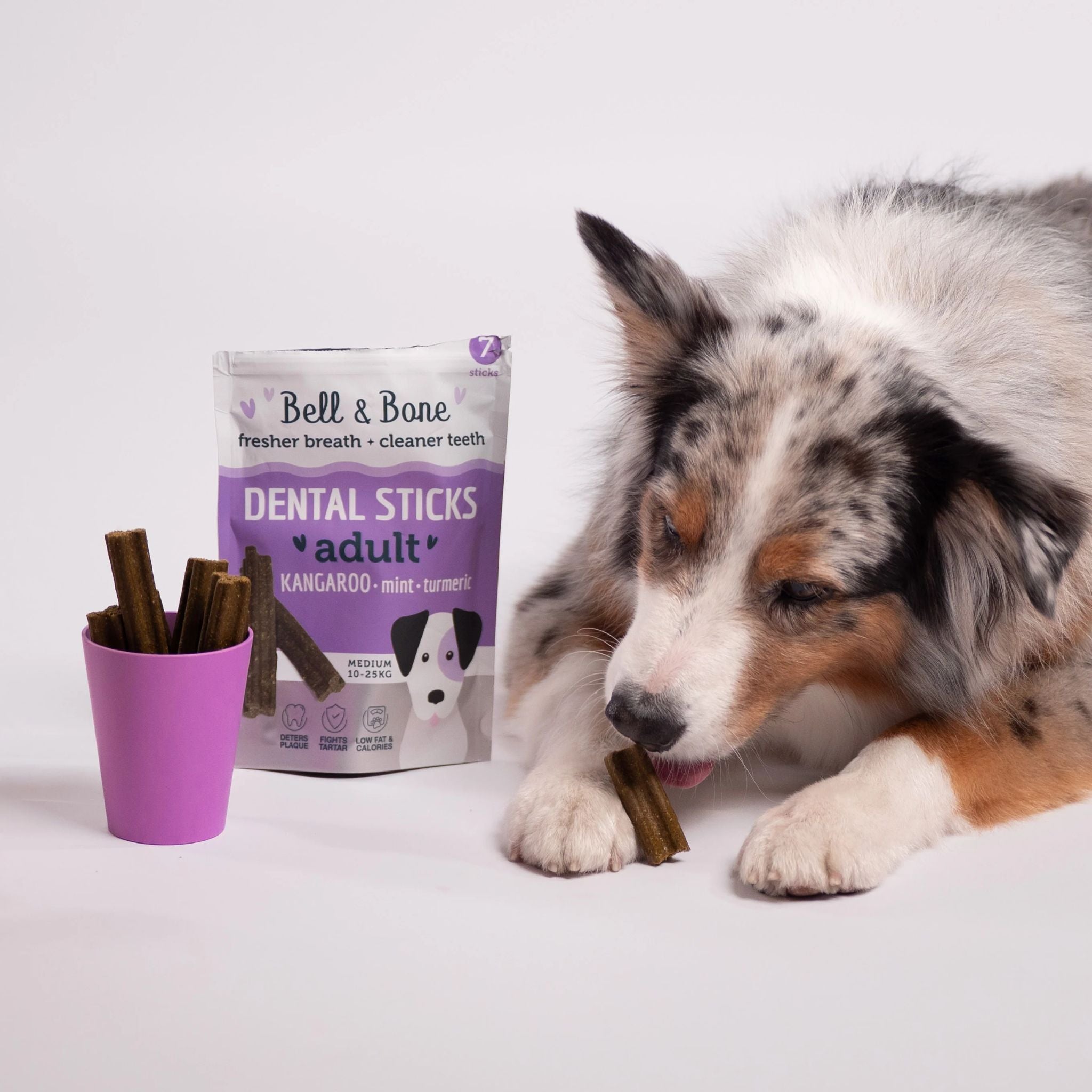Bell and Bone Dental Sticks for Adult Dogs - Kangaroo, Mint & Turmeric