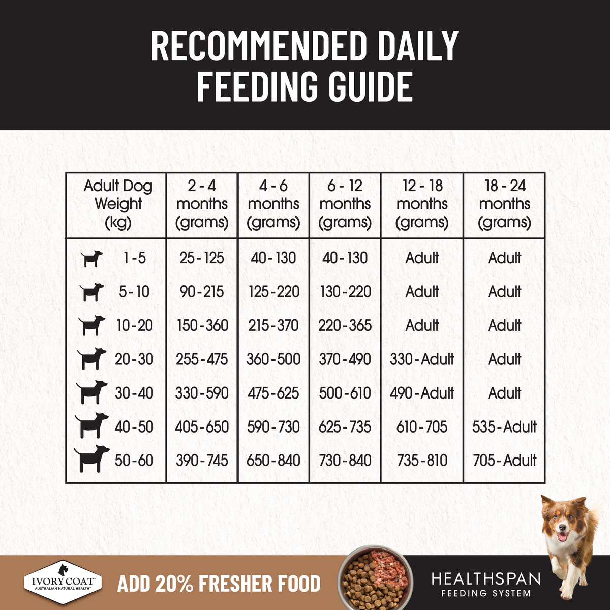 Ivory Coat puppy feeding guide, grams and cups per day by adult weight and puppy age
