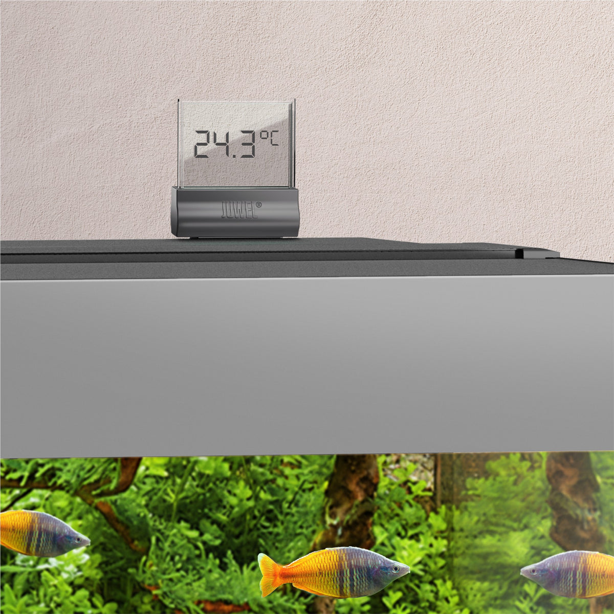 Juwel Digital Thermometer 4.0 mounted on an aquarium