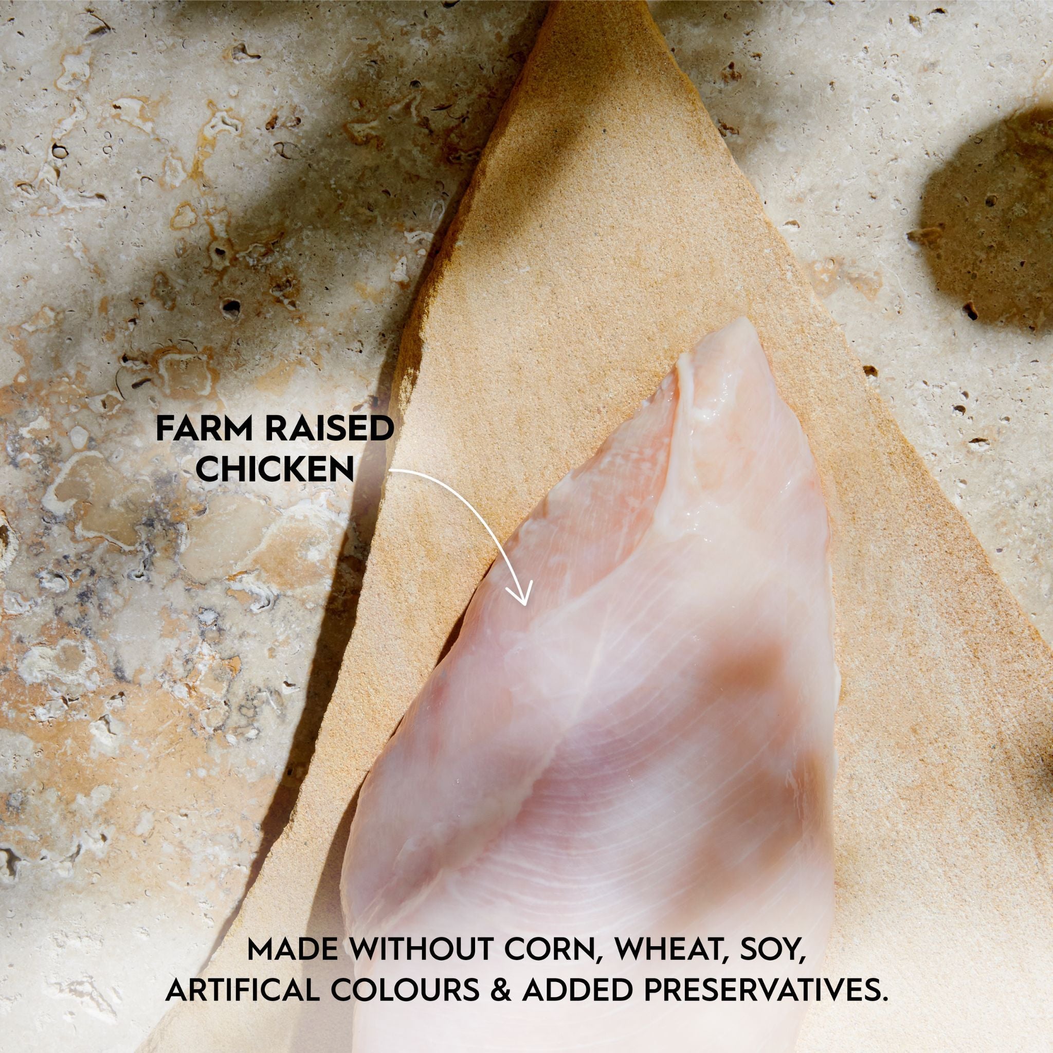 Trilogy Wet Kitten Cat Food Farm Raised Chicken in Rich Bone Broth