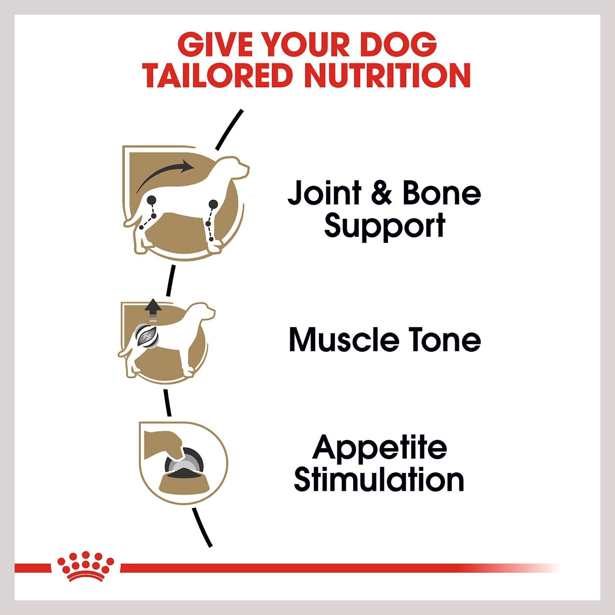 Royal Canin Dachshund Loaf Wet Dog Food