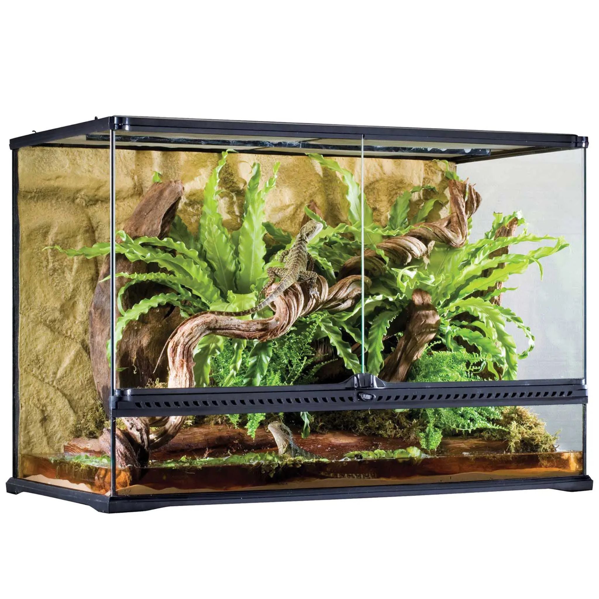 Exo Terra Natural Terrariums