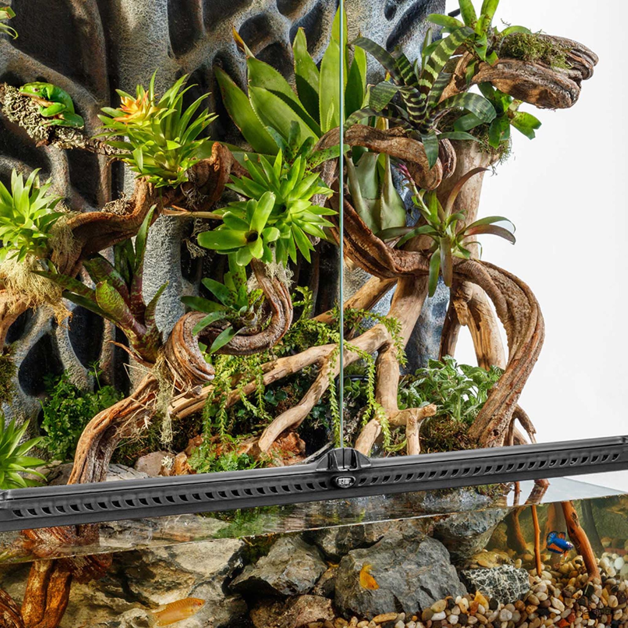 Exo Terra Natural Terrariums