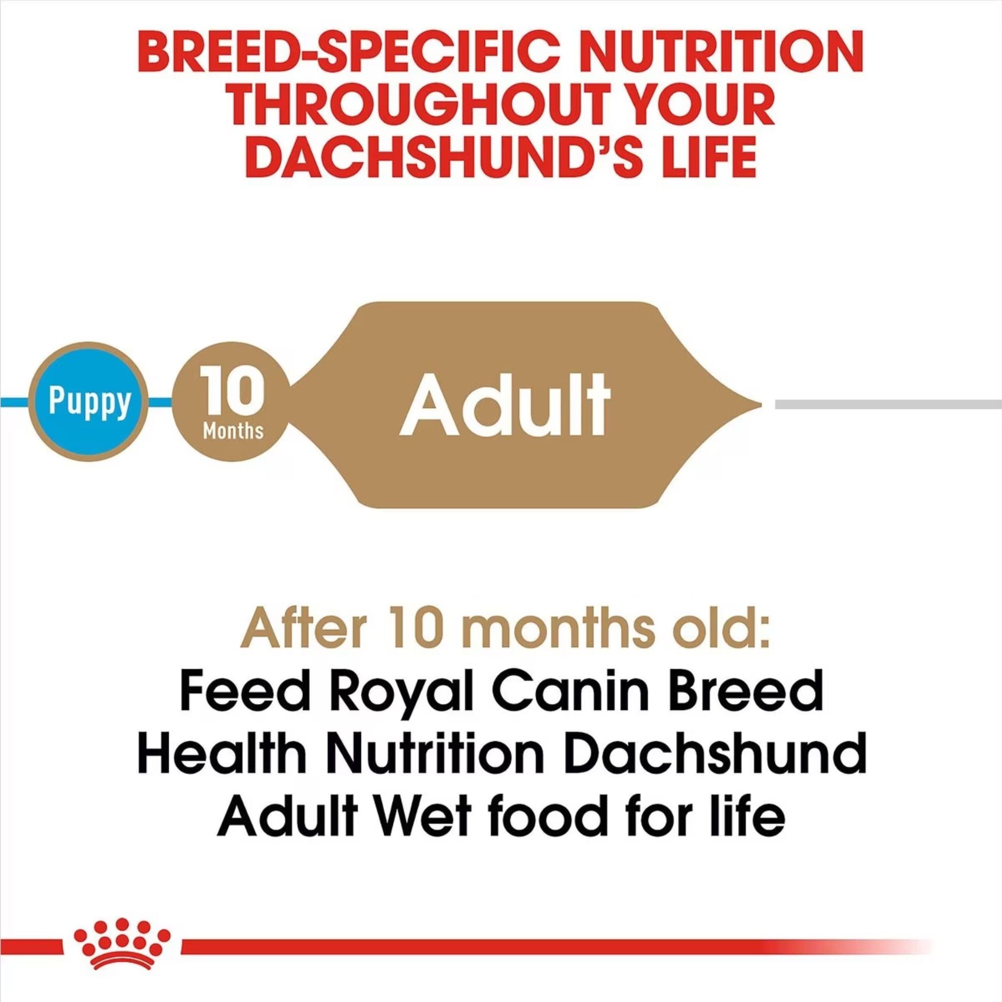 Royal Canin Dachshund Loaf Wet Dog Food