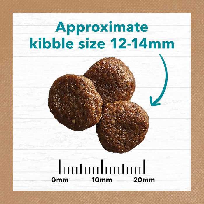 Ivory Coat Grain Free Adult All Breeds Dry Dog Food Salmon & Ocean Fish | PeekAPaw Pet Supplies