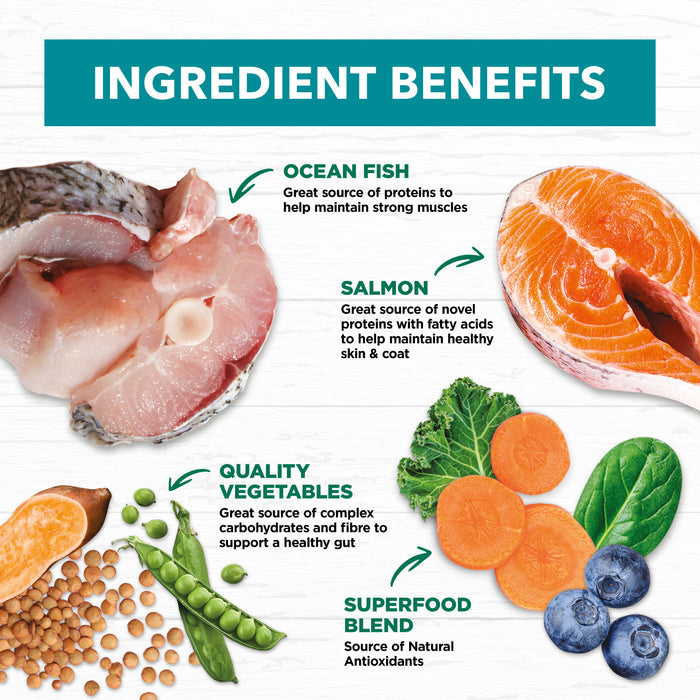 Ivory Coat Grain Free Adult All Breeds Dry Dog Food Salmon & Ocean Fish | PeekAPaw Pet Supplies