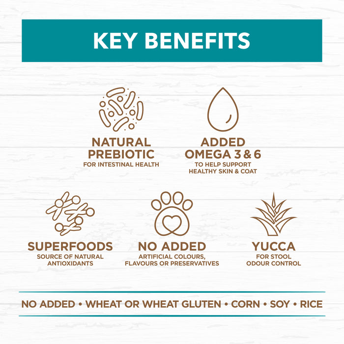 Ivory Coat Grain Free Adult All Breeds Dry Dog Food Salmon & Ocean Fish | PeekAPaw Pet Supplies