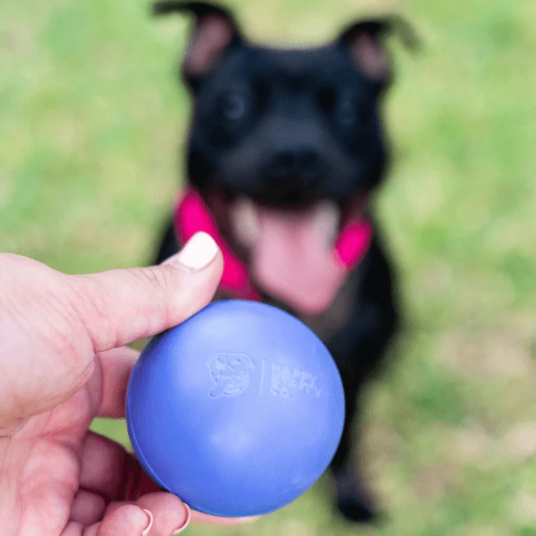 Happy Staffy Co Happy Staffy Duraball Dog Toy
