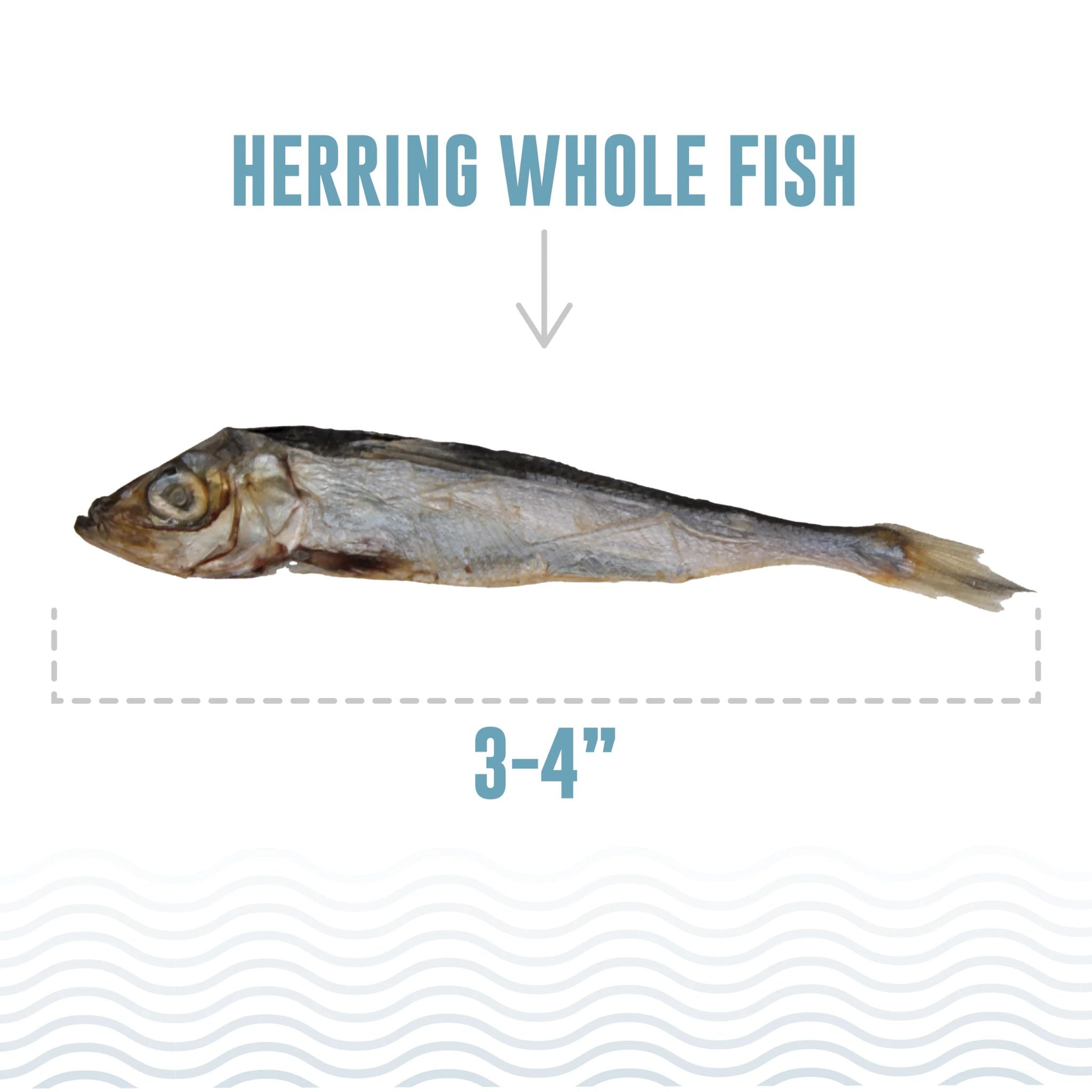 Icelandic+ Dog Treats Herring Whole Fish