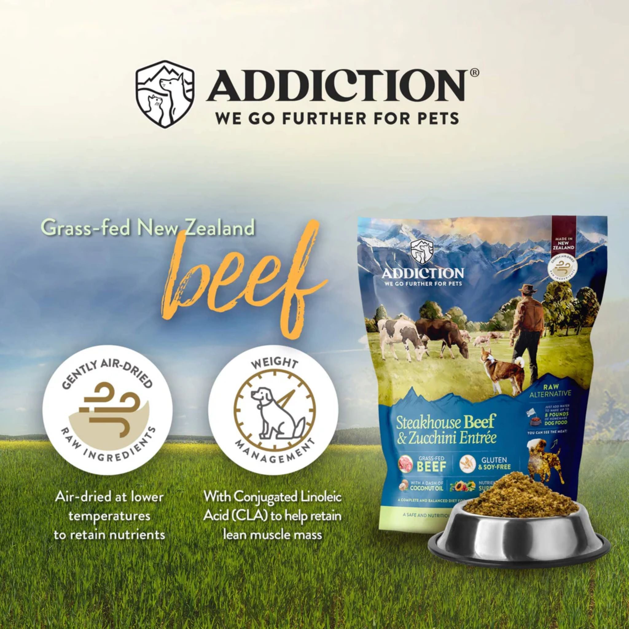 ADDICTION Steakhouse Beef & Zucchini Raw Alternative Dog Food