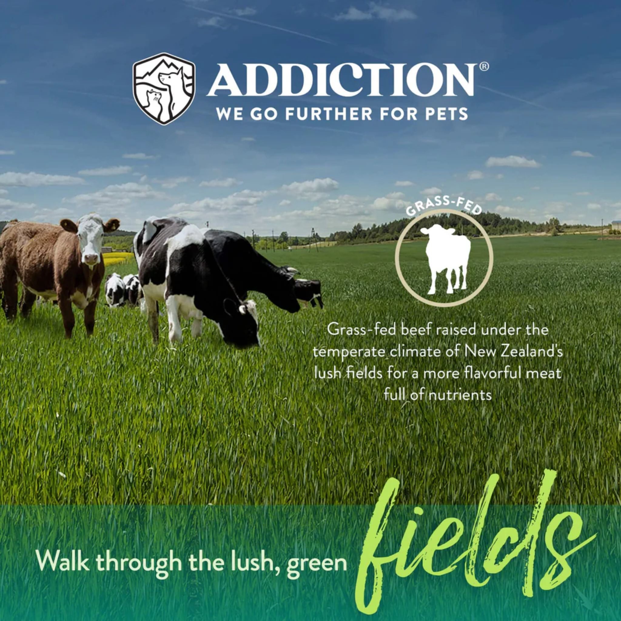 ADDICTION Steakhouse Beef & Zucchini Raw Alternative Dog Food