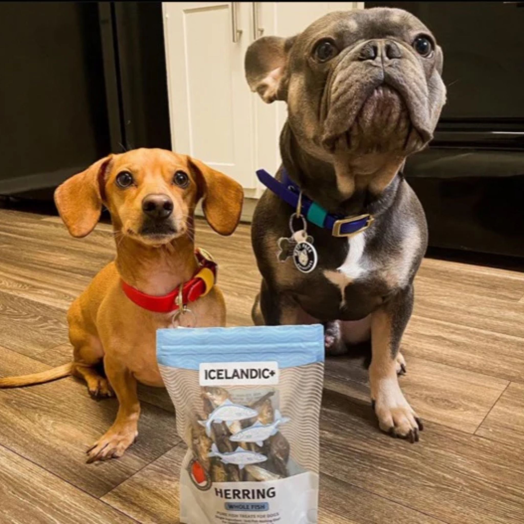 Icelandic+ Dog Treats Herring Whole Fish