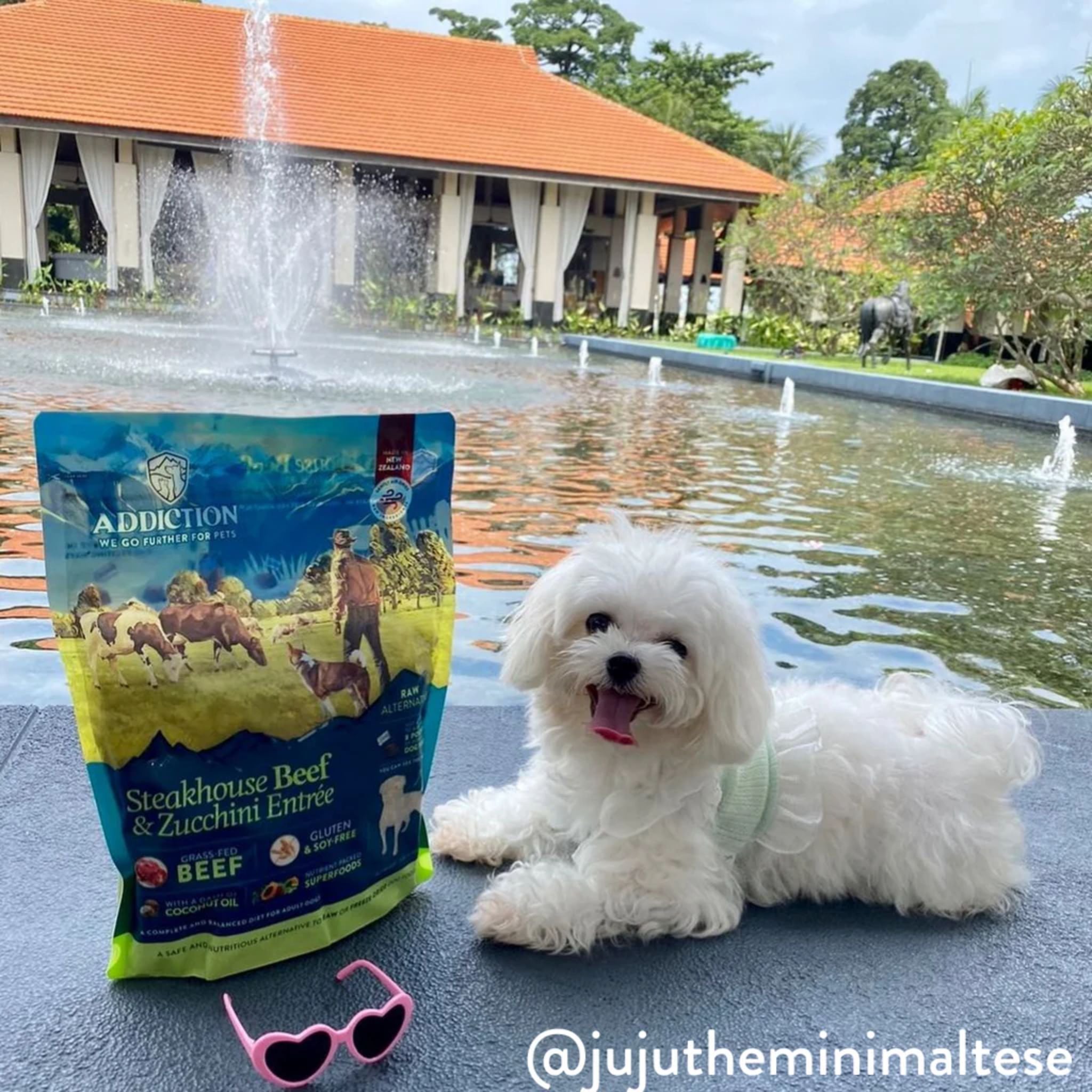 ADDICTION Steakhouse Beef & Zucchini Raw Alternative Dog Food