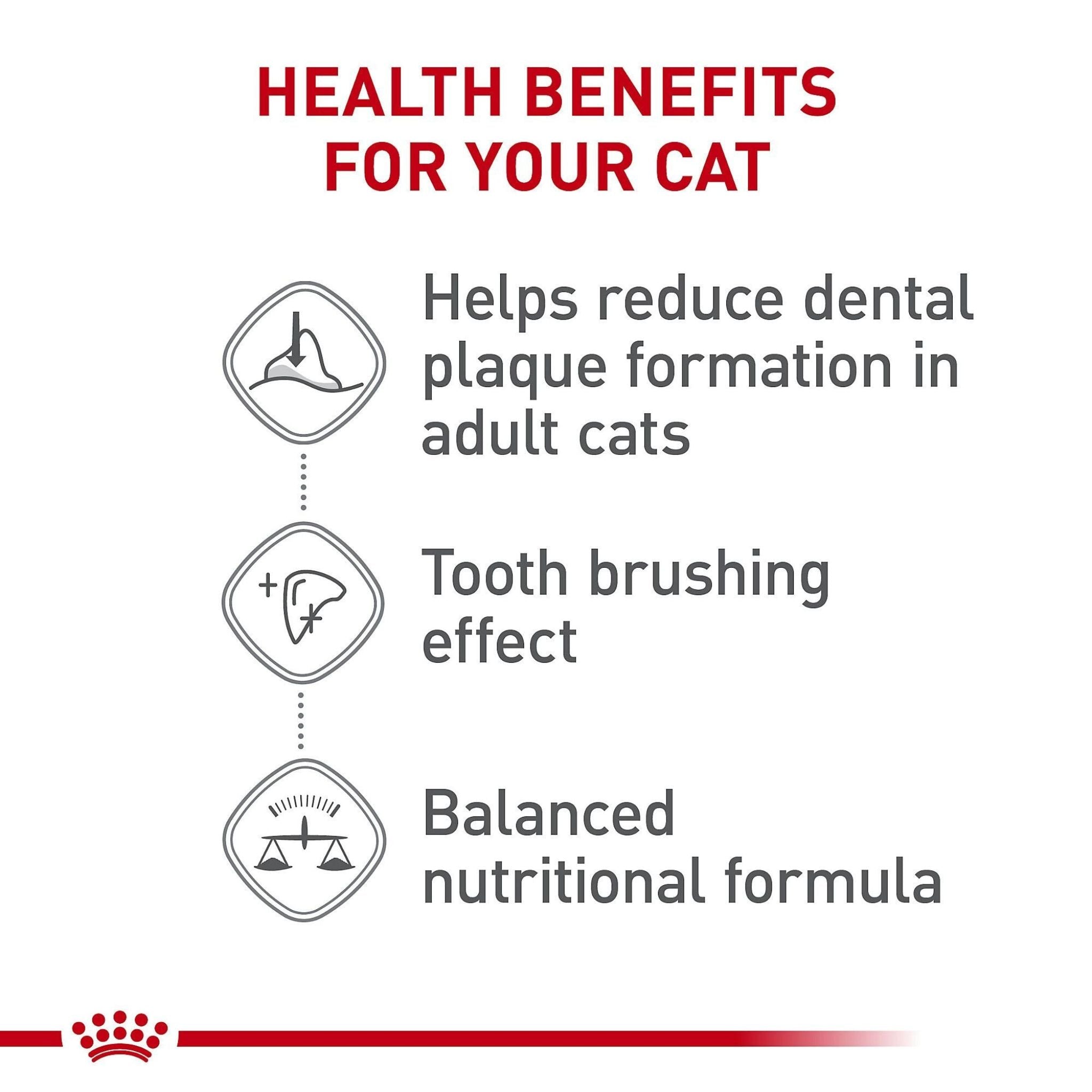 Royal Canin Dental Care Dry Cat Food