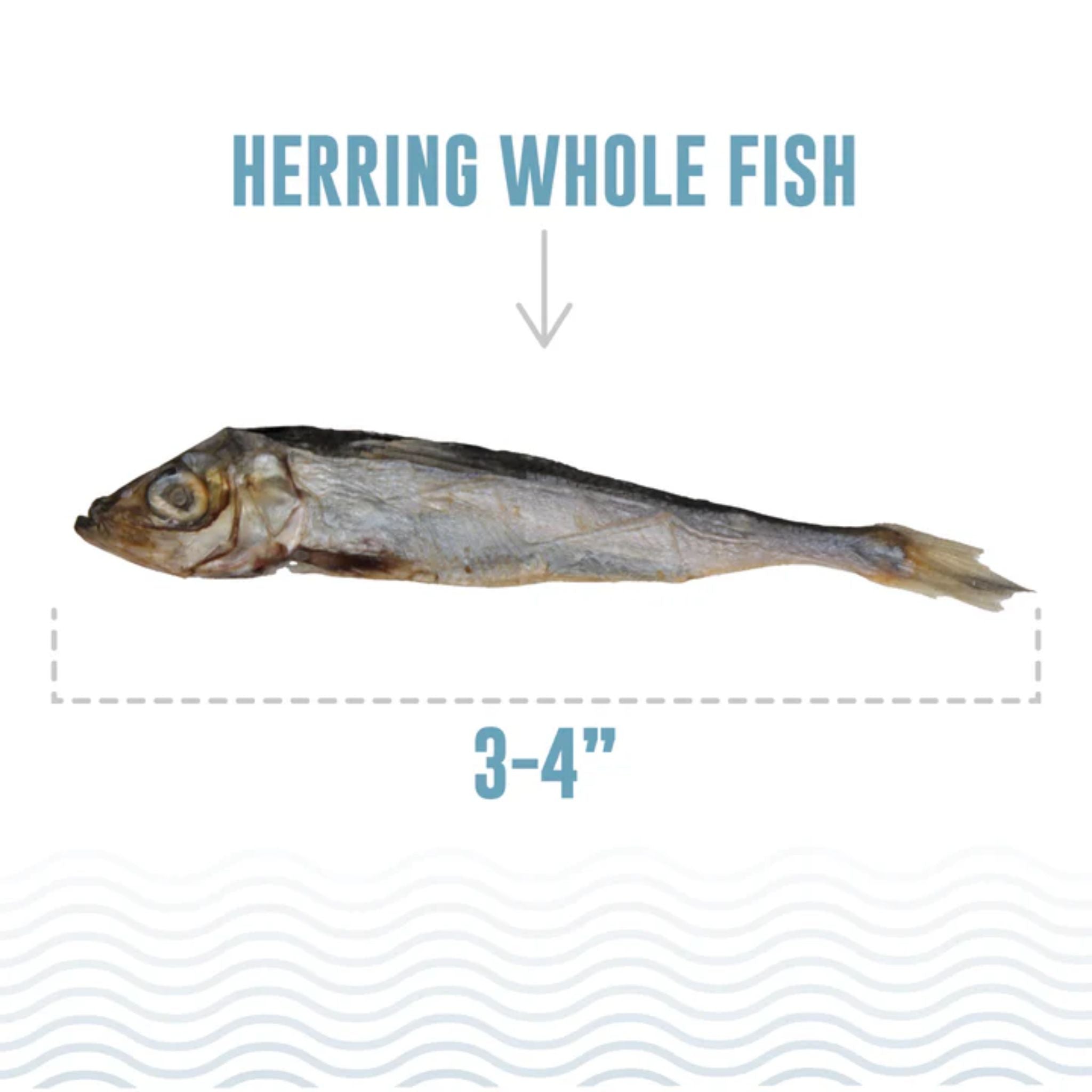 Icelandic+ Cat Treats Herring Whole Fish