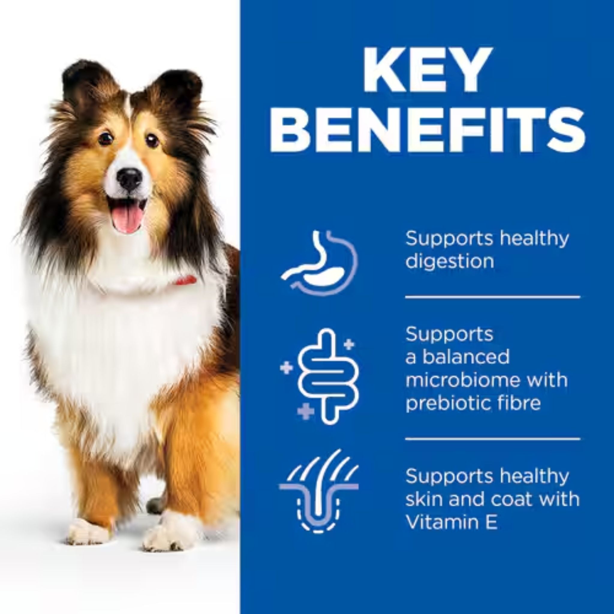 Hill's Science Diet Sensitive Stomach & Skin Adult Wet Dog Food