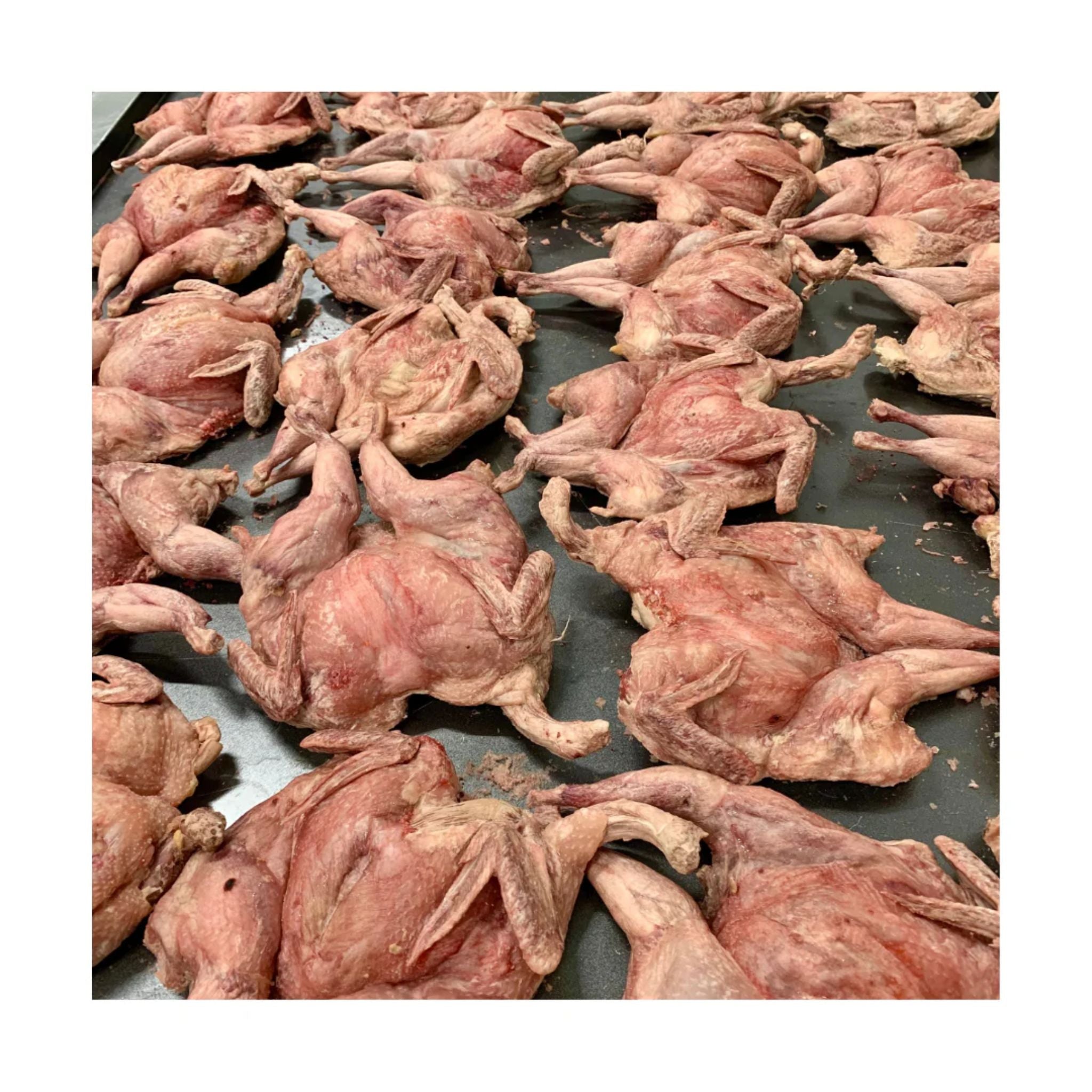 Freezy Paws Freeze Dried Whole Quail Pet Treats for Dogs & Cats