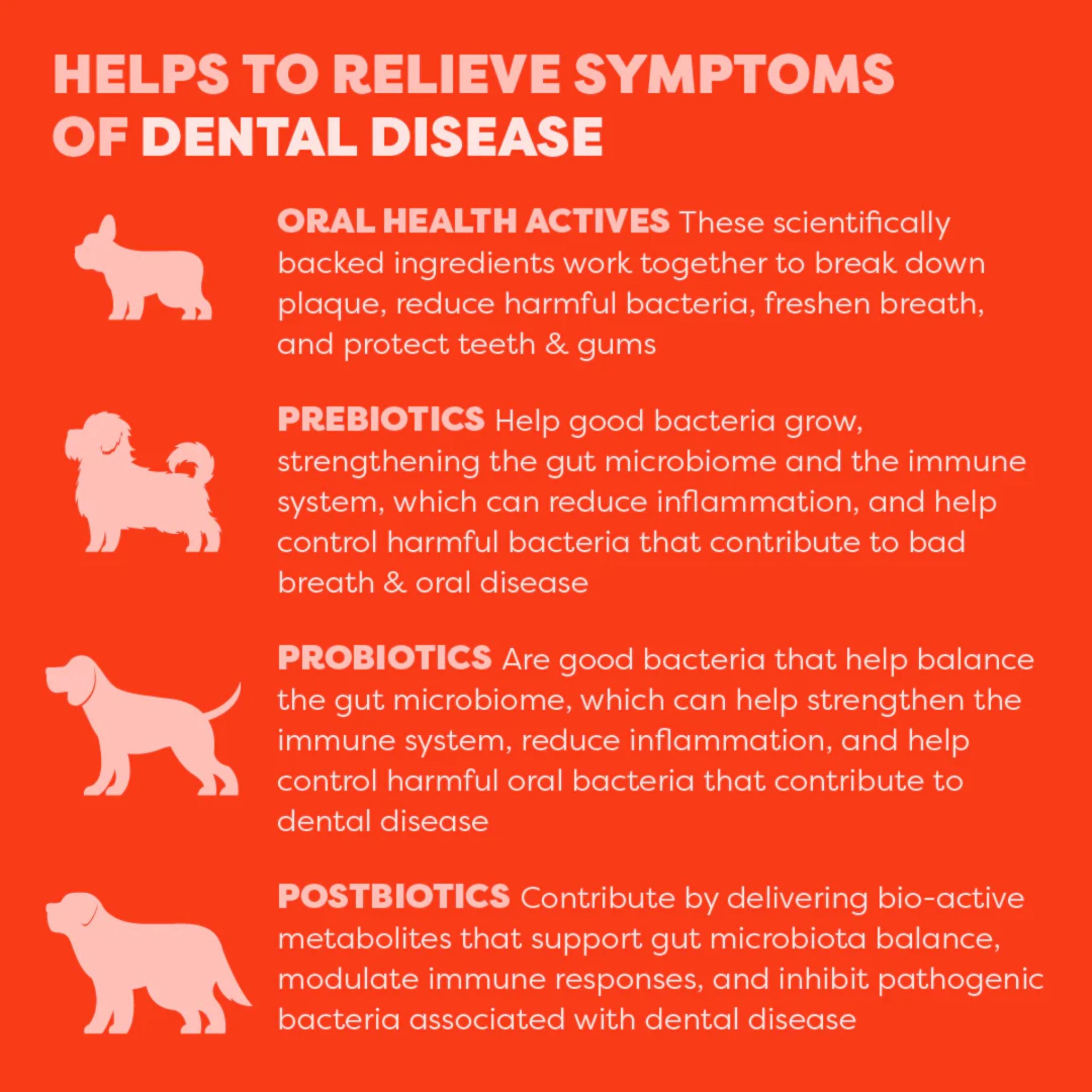 Bell and Bone Dog Dental Topper - Salmon