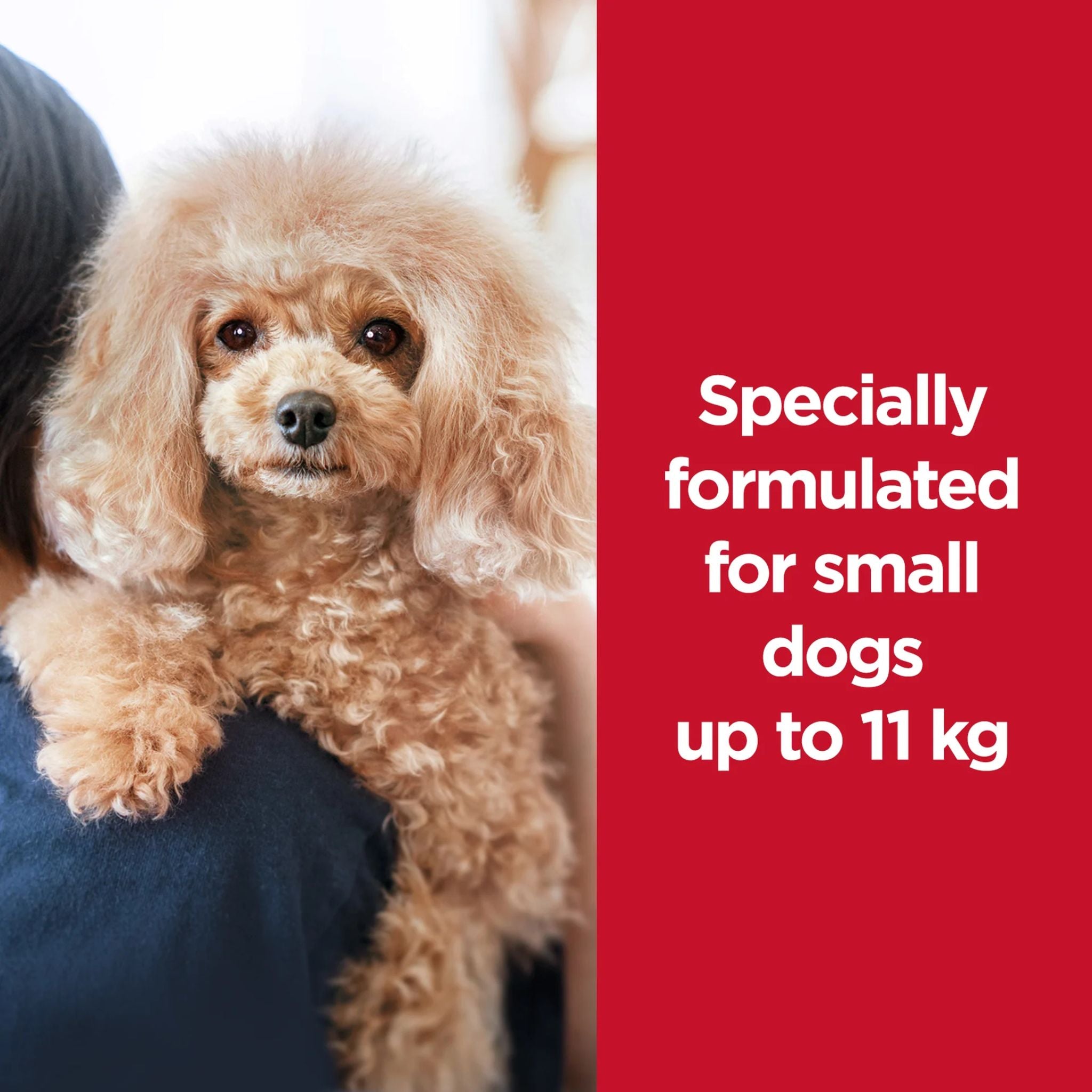 Hill's Science Diet Dry Dog Food Puppy Small & Mini Chicken & Brown Rice Recipe