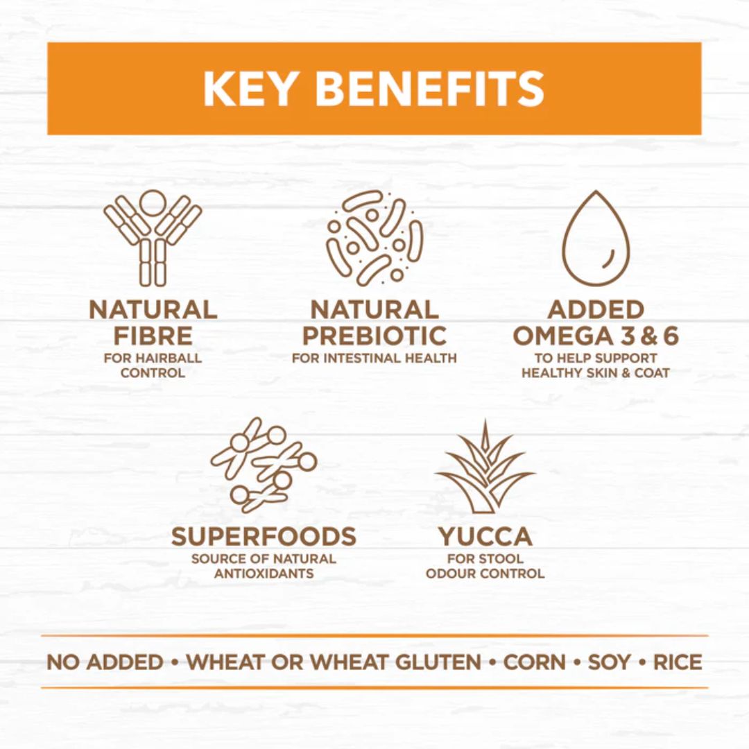 Ivory Coat Grain Free Adult Dry Cat Food Chicken | PeekAPaw Pet Supplies