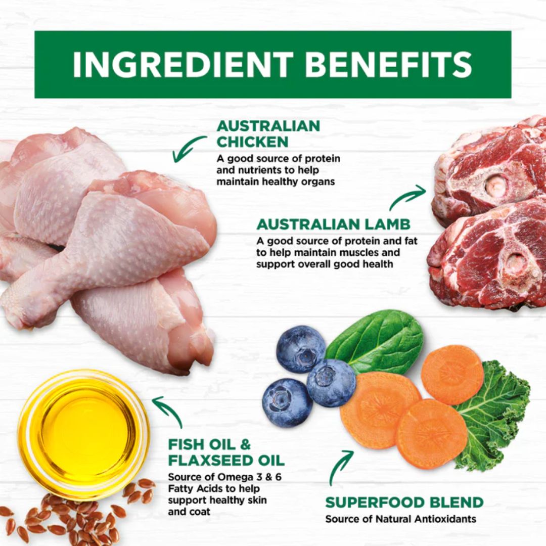 Ivory Coat Grain Free Adult Wet Cat Food Chicken & Lamb in Gravy