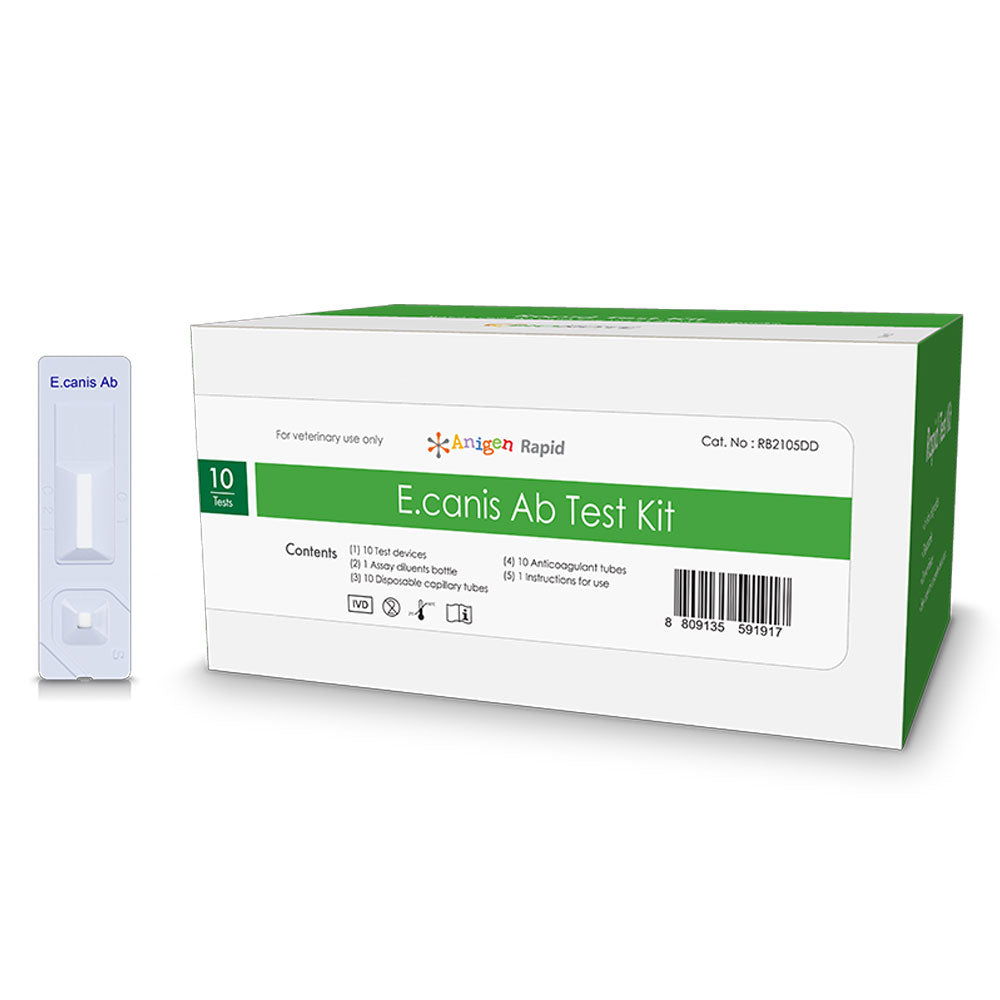 Anigen Rapid canine E. canis test kit box, 10 tests