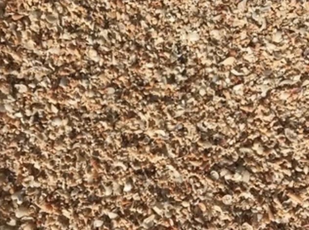 Green Valley Shell Grit for Poultry product pack shot