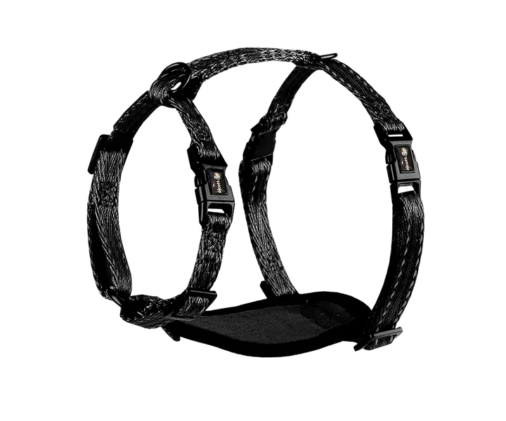 Alcott Adventure Nylon Dog Harness Set