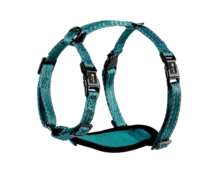 Alcott Adventure Nylon Dog Harness Set