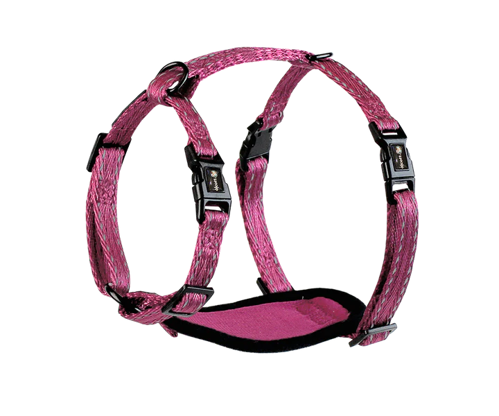 Alcott Adventure Nylon Dog Harness Set