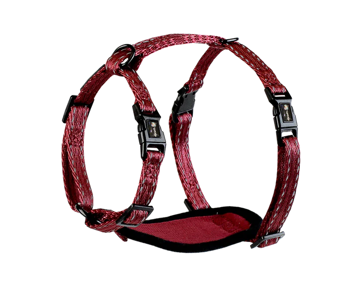 Alcott Adventure Nylon Dog Harness Set