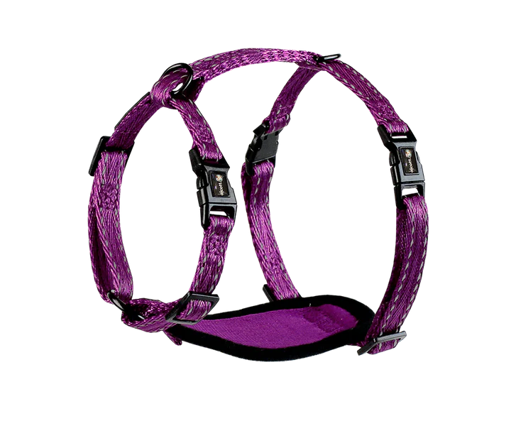 Alcott Adventure Nylon Dog Harness Set