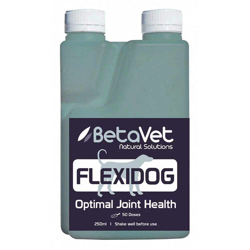 BetaVet FlexiDog joint health liquid for dogs, 250ml twin-neck dosing bottle with a black label