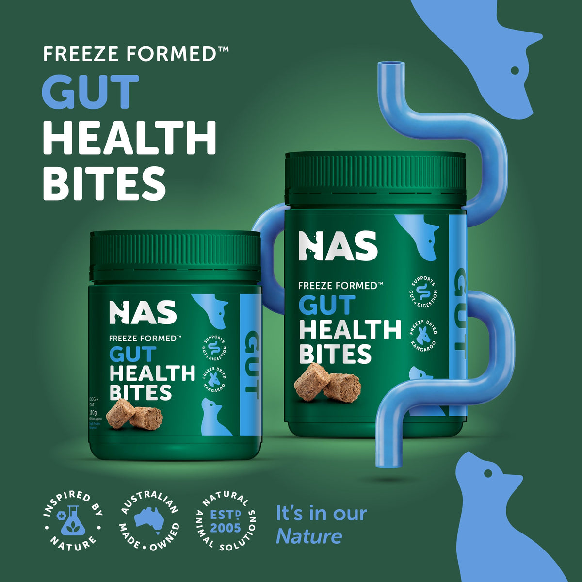 Natural Animal Solutions Freeze Formed Gut Health Bites — brand infographic 1