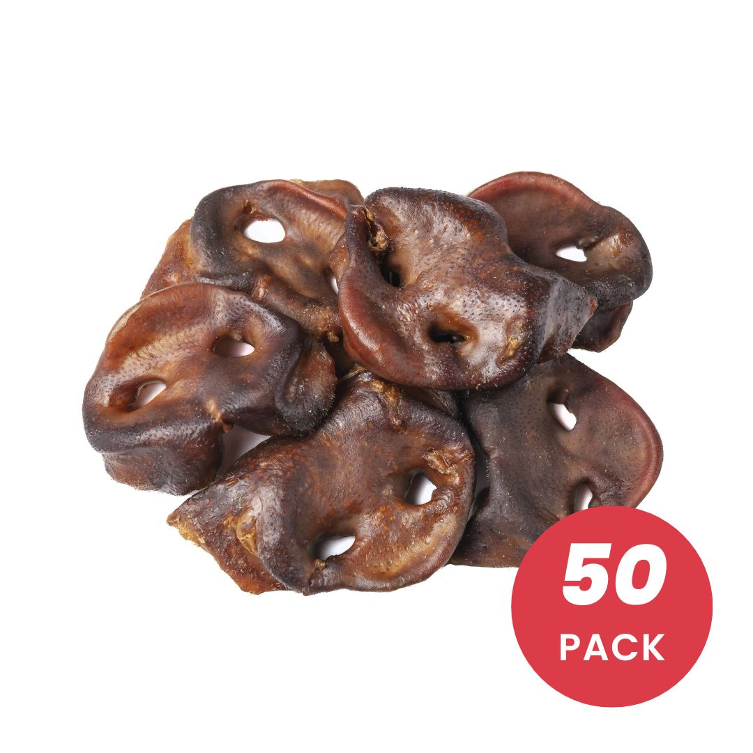 Blackdog Pig Snouts Dog Treats - 50 Pack | PeekAPaw Pet Supplies |
