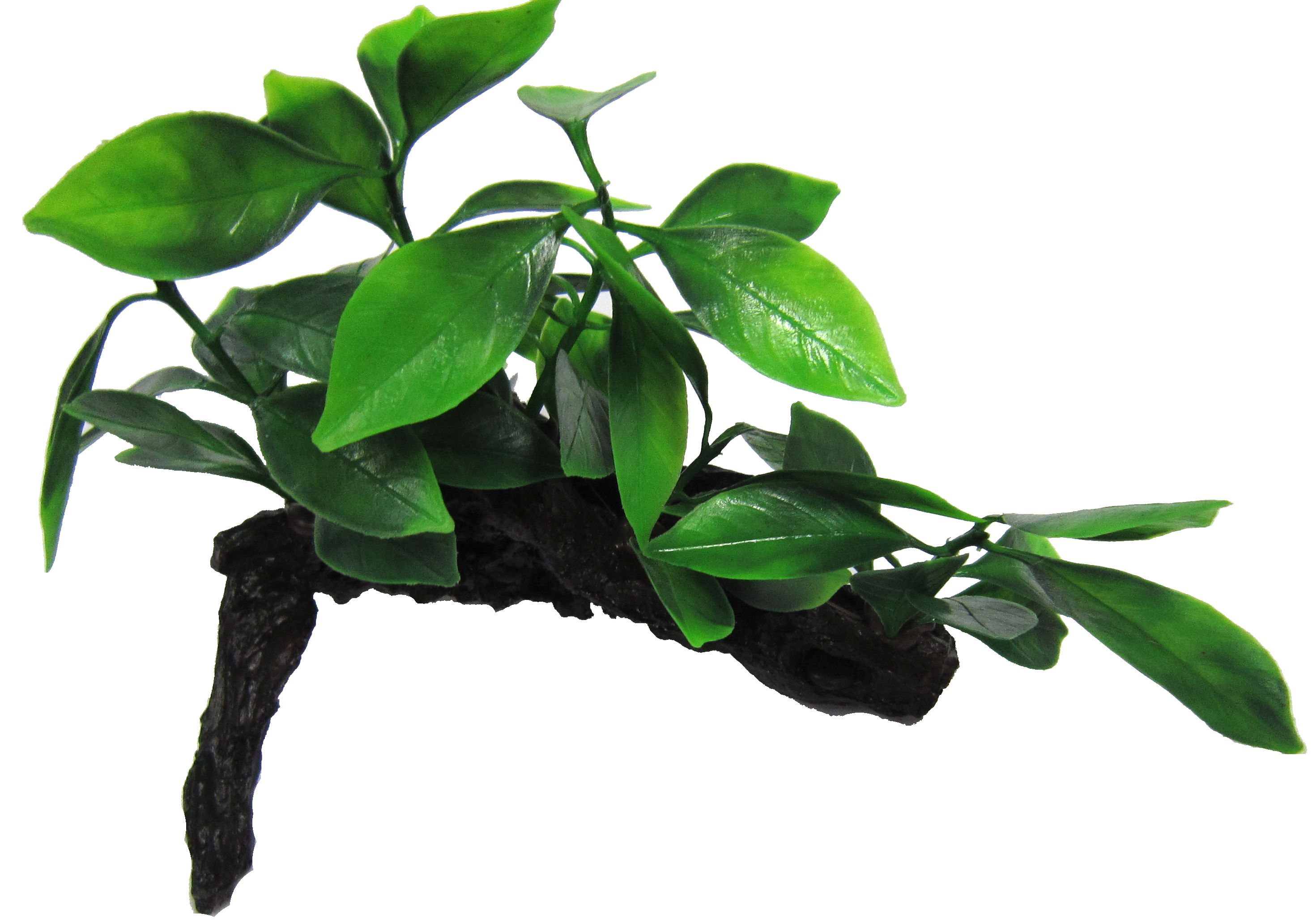 Amazon Jungle Aphilia on Log artificial aquarium plant, 16cm