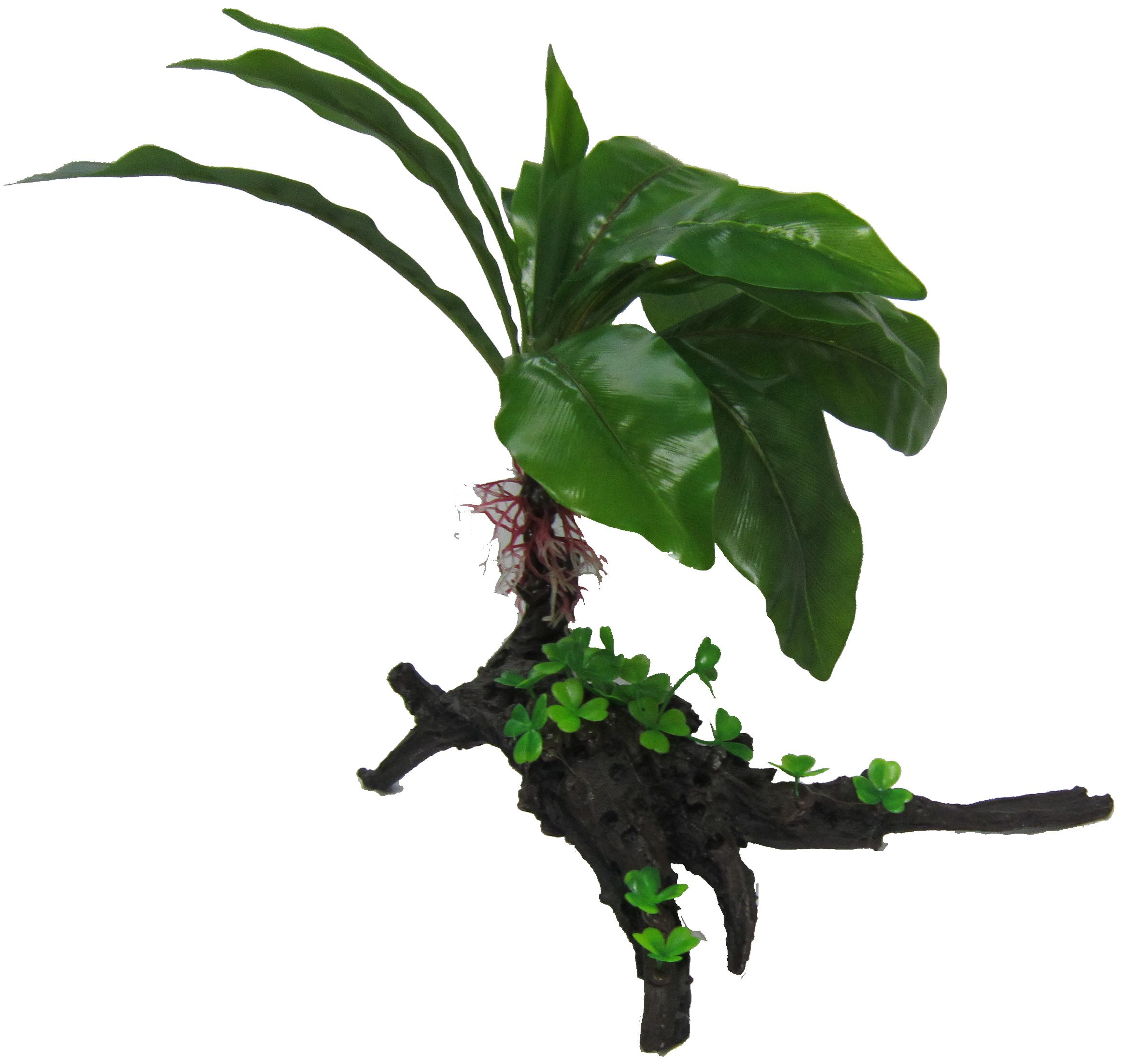 Amazon Jungle Giant Cardamine Tree artificial aquarium plant, 35cm