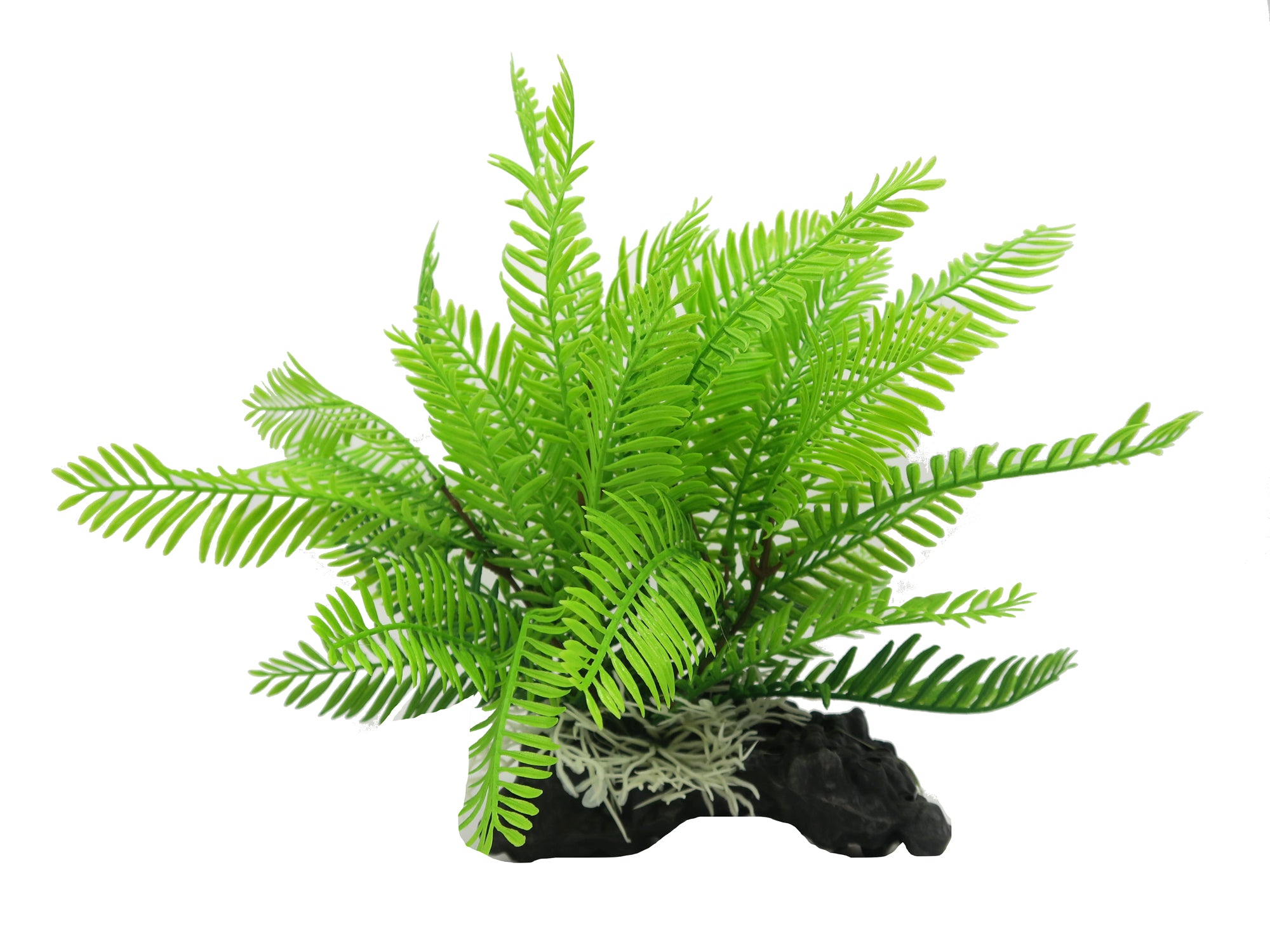 Amazon Jungle Filmy Fern artificial aquarium plant, medium 28cm