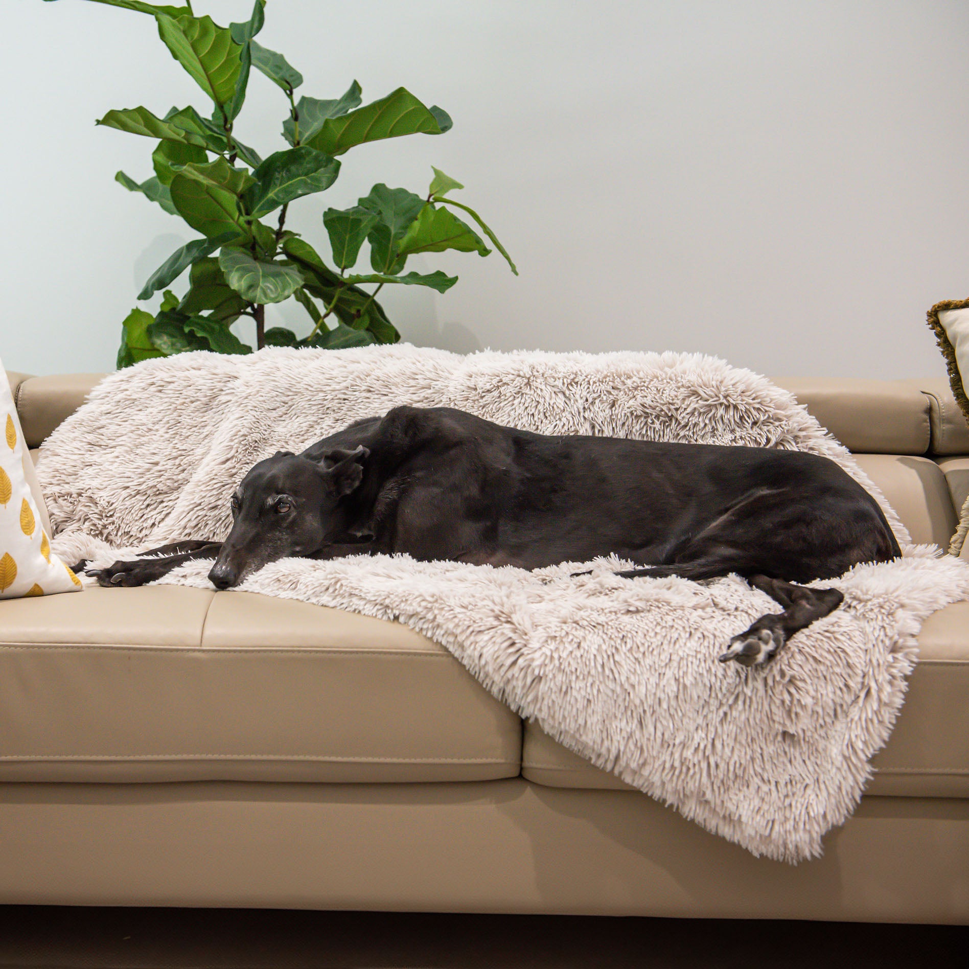 Superior Pet Goods Calming Pet Blanket in Aspen faux fur draped over a dog bed