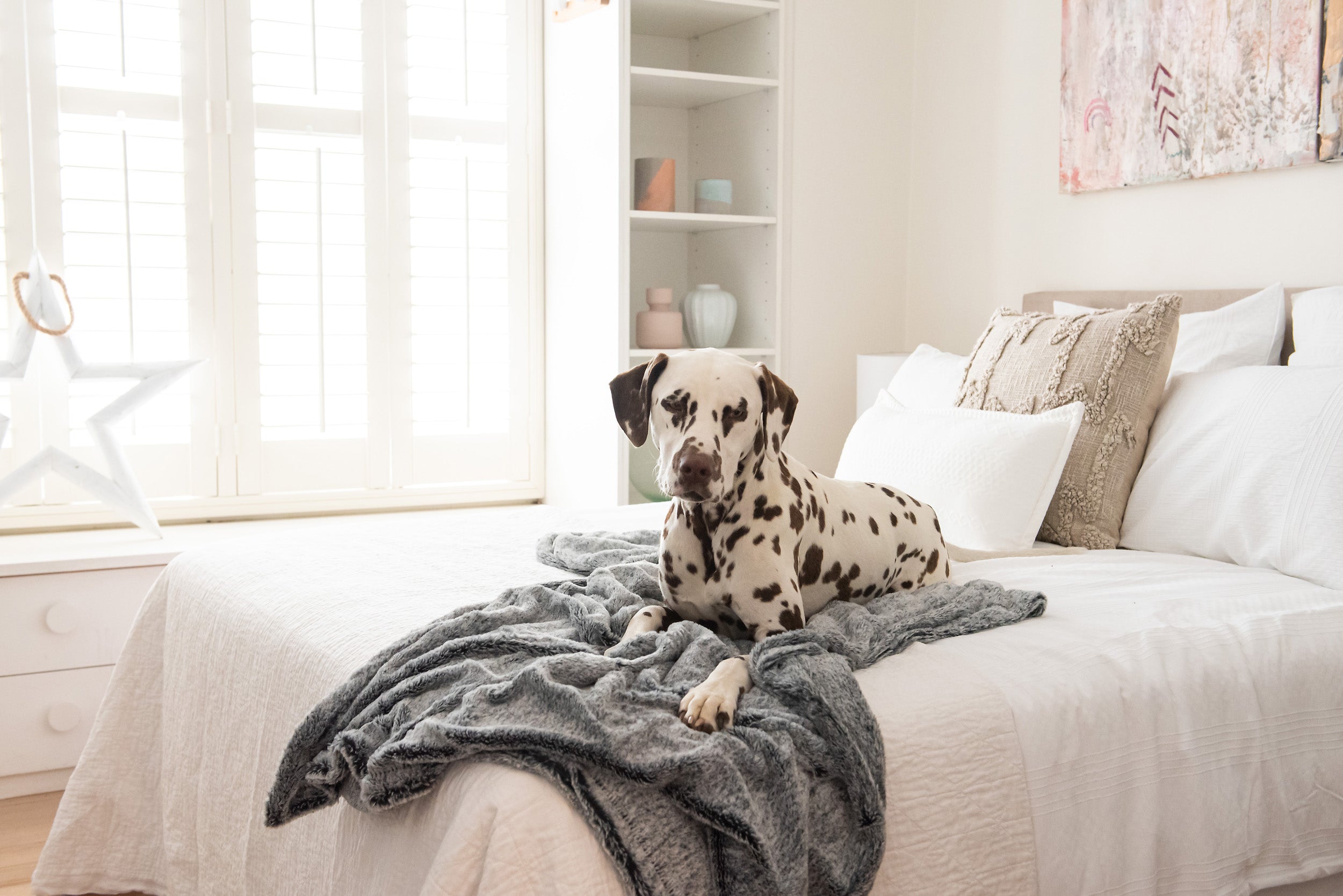 Dog resting on a Superior Pet Goods Calming Pet Blanket in Artic faux fur